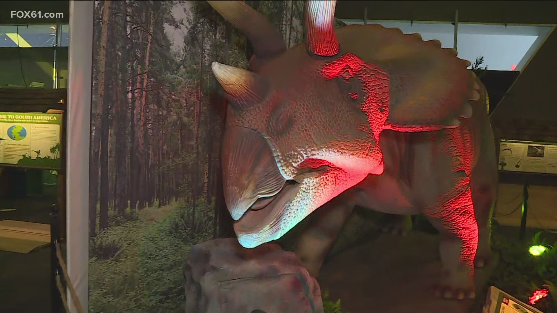 FOX61 visited the Connecticut Science Center on Thursday to explore the new Dinosaurs Around the World Exhibit.