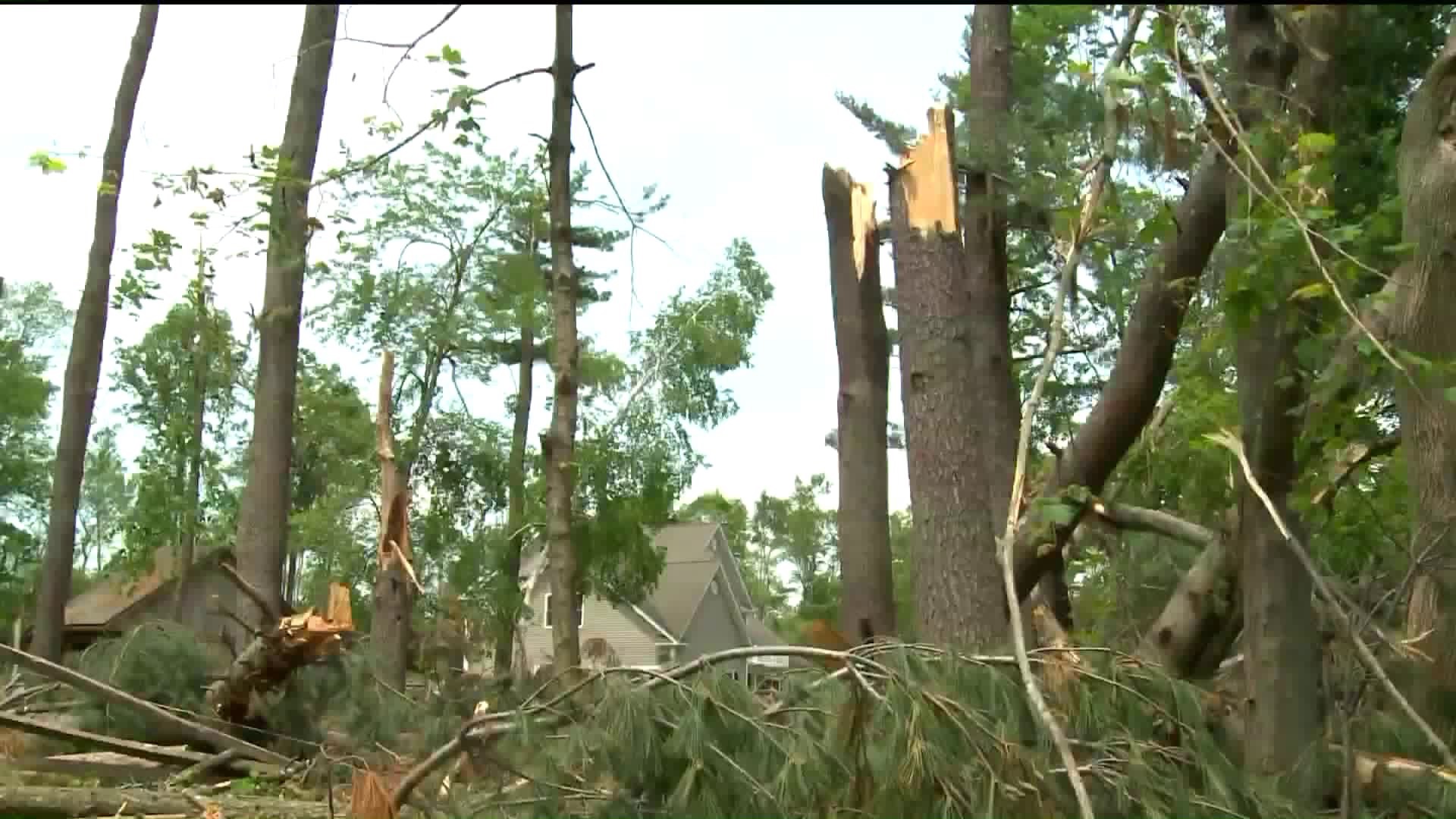 Bill to provide FEMA aid for fallen trees in CT