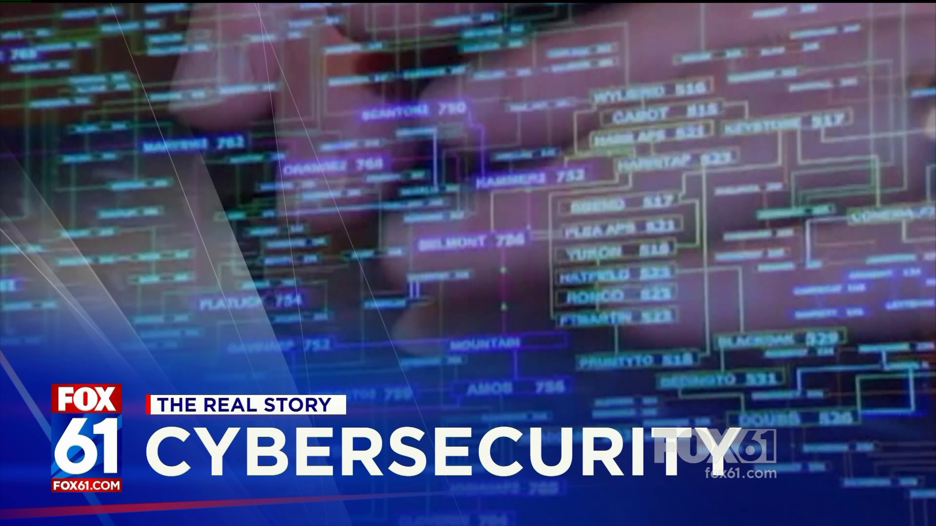 The Real Story - Cybersecurity