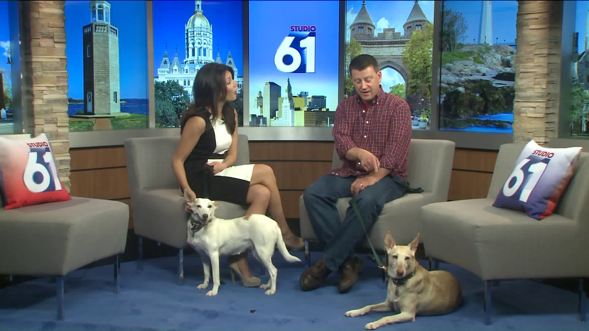 Pets of the Week -  Ana and Elsa