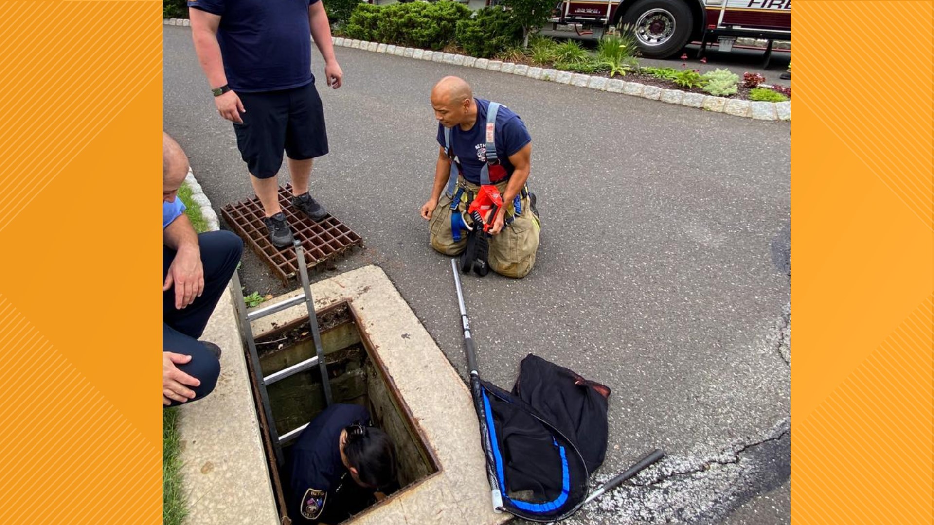 Bethel first responders rescue kitten stuck in storm drain | fox61.com