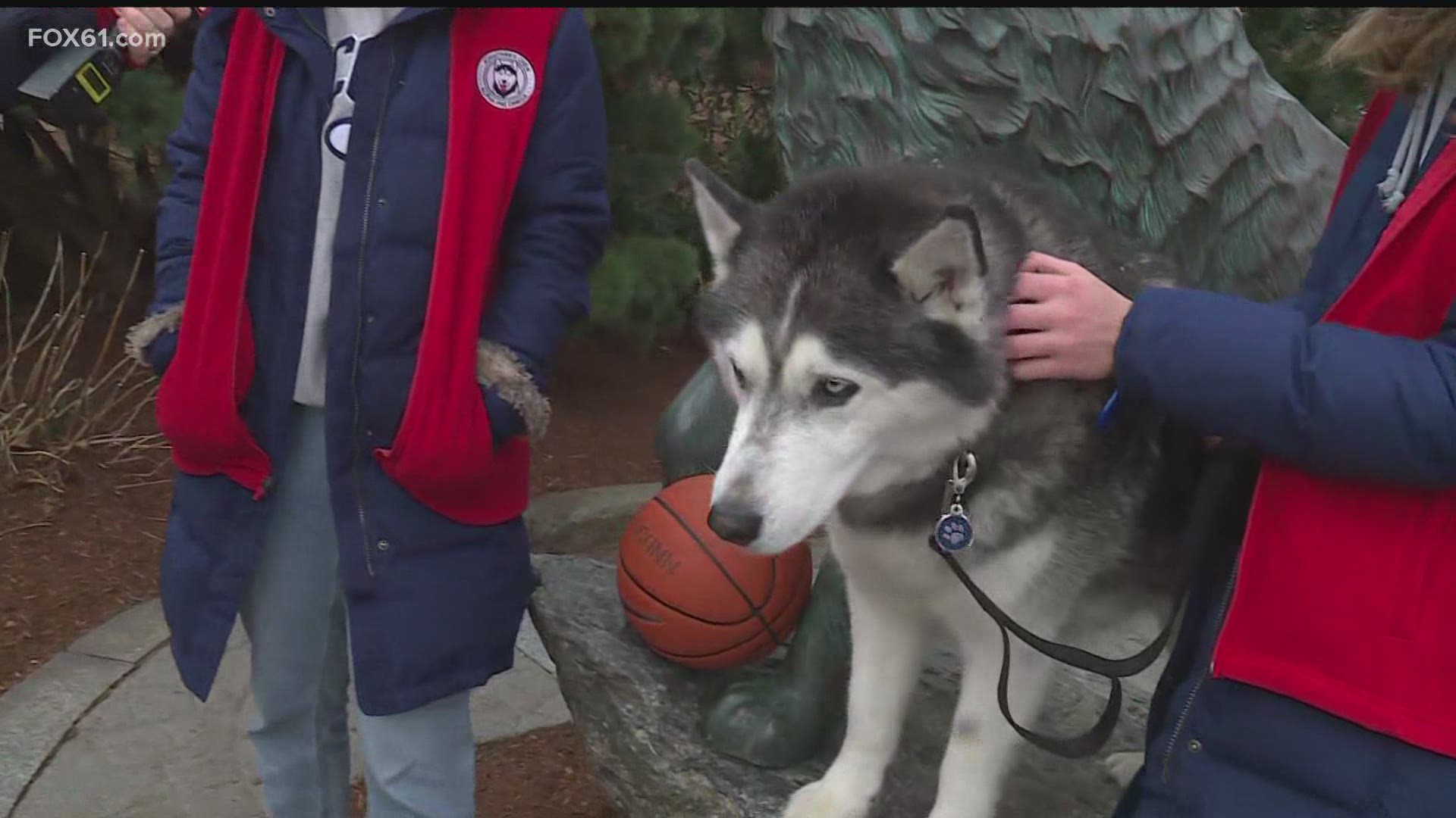 What does the UConn Huskies' mascot have to say for the women's basketball team as they head into the Final Four?