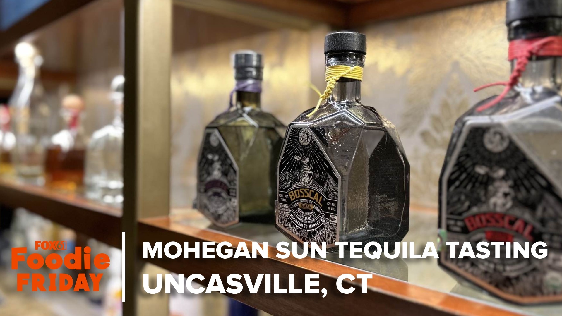 At Mohegan Sun this weekend, the Sun Tequila Tasting is taking place. FOX61's Matt Scott got to preview the event for Foodie Friday.