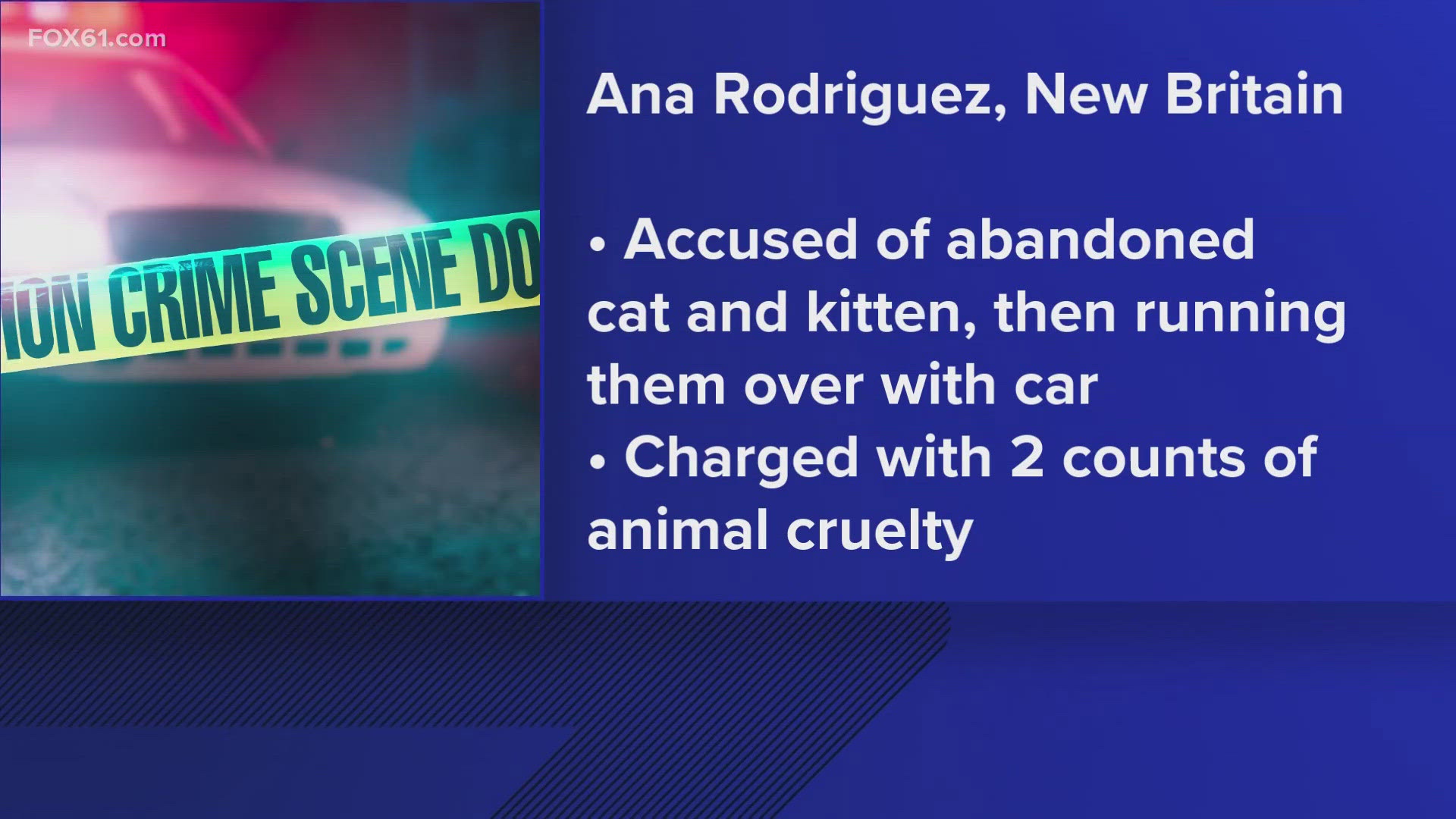 The woman allegedly discarded the cat and kitten in the parking lot and then ran over the kitten while backing out her vehicle. She then fled the scene.