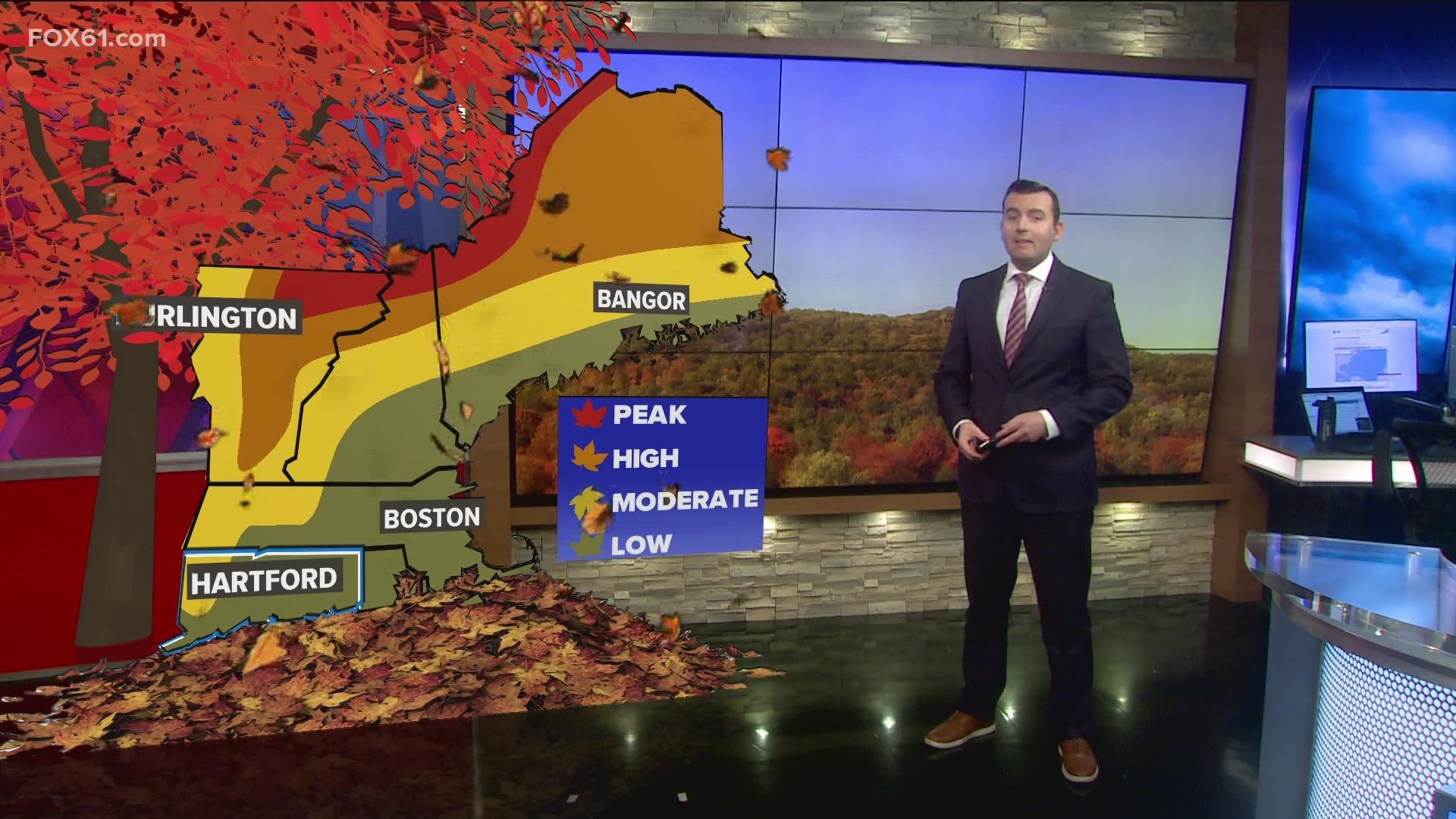 秋天到了，但新英格兰大部分地区的叶子似乎比预定时间晚了一点。