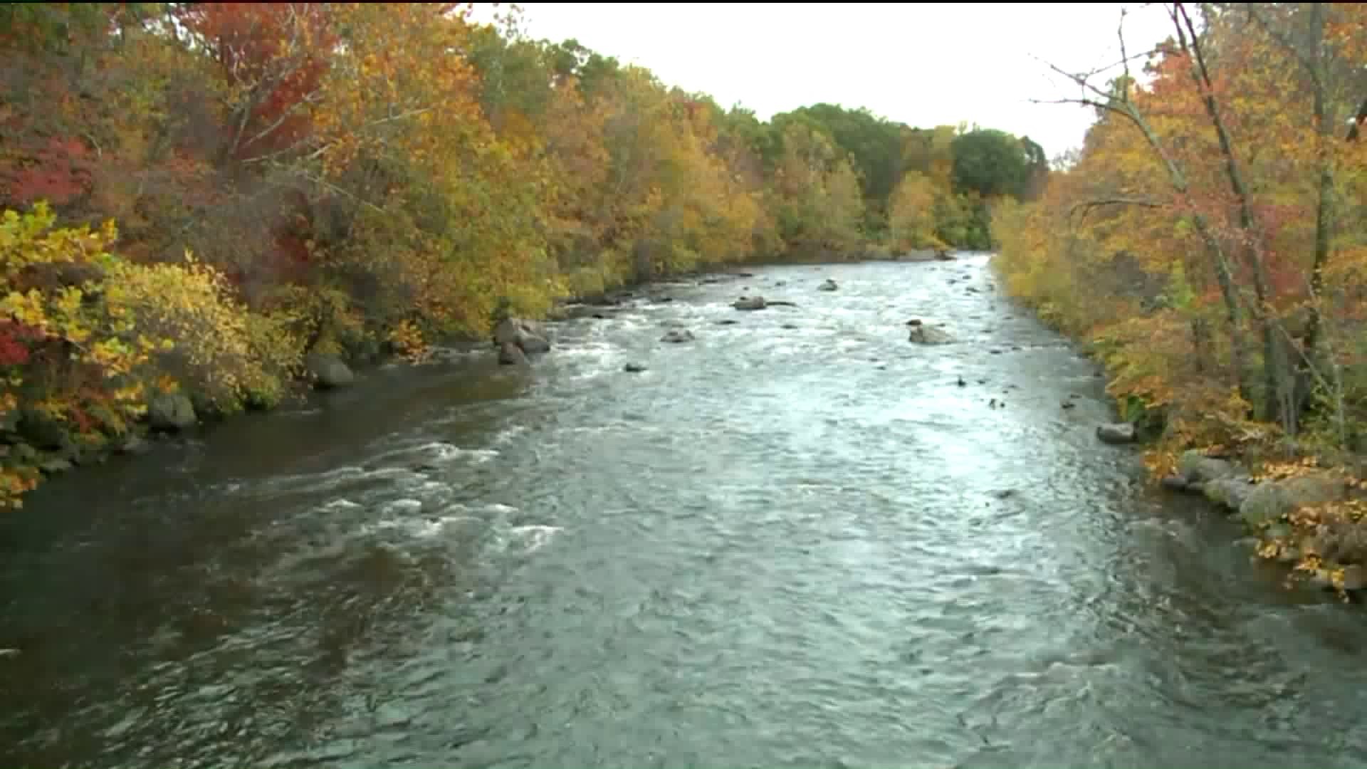 Naugatuck river clean-up