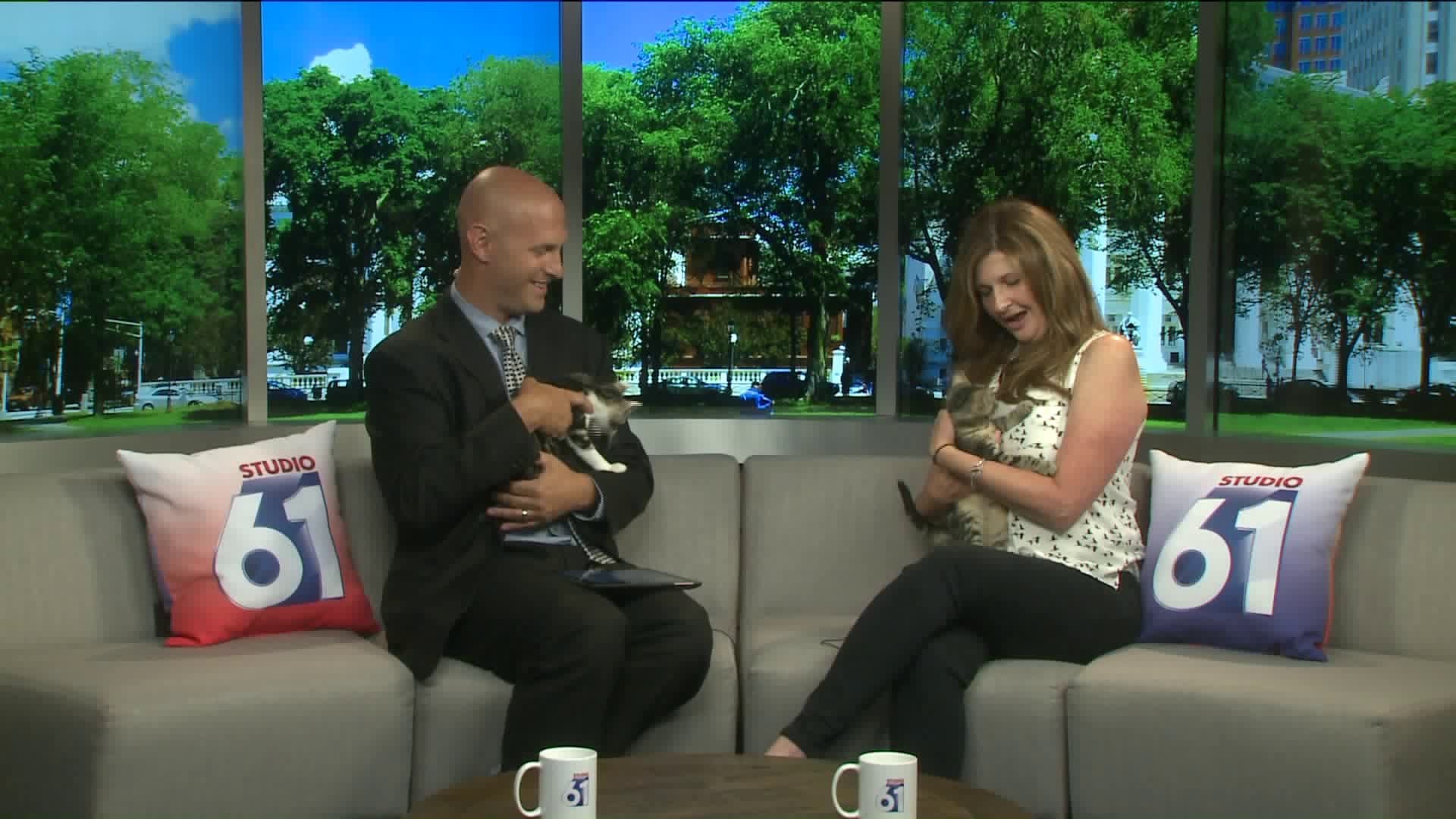 Pet of the Week: Jameson and Logan