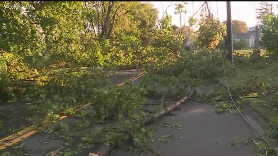 Storm damage in Branford | fox61.com