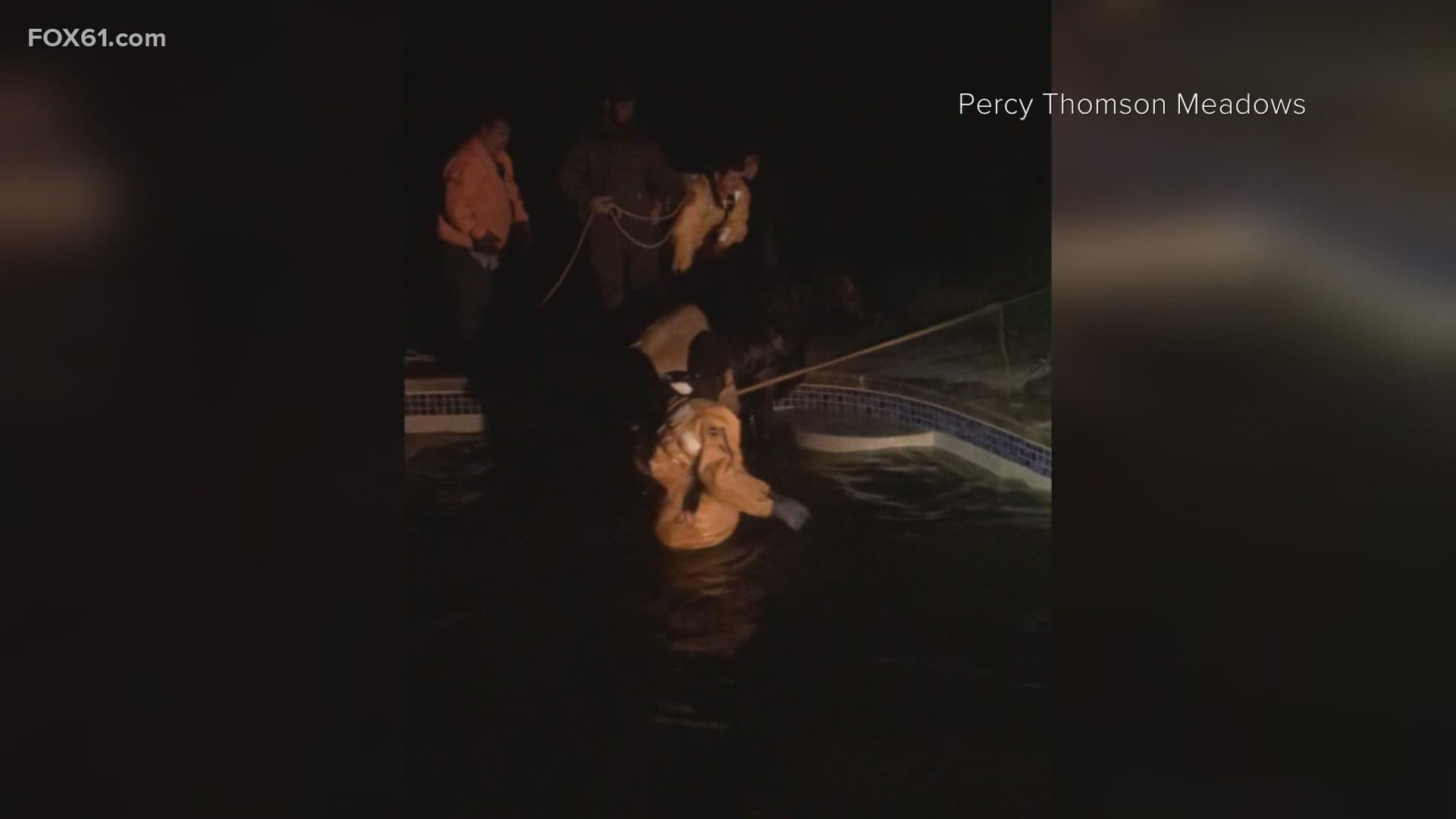 First responders donned their cold water rescue gear and helped the animal swim to shallow waters
