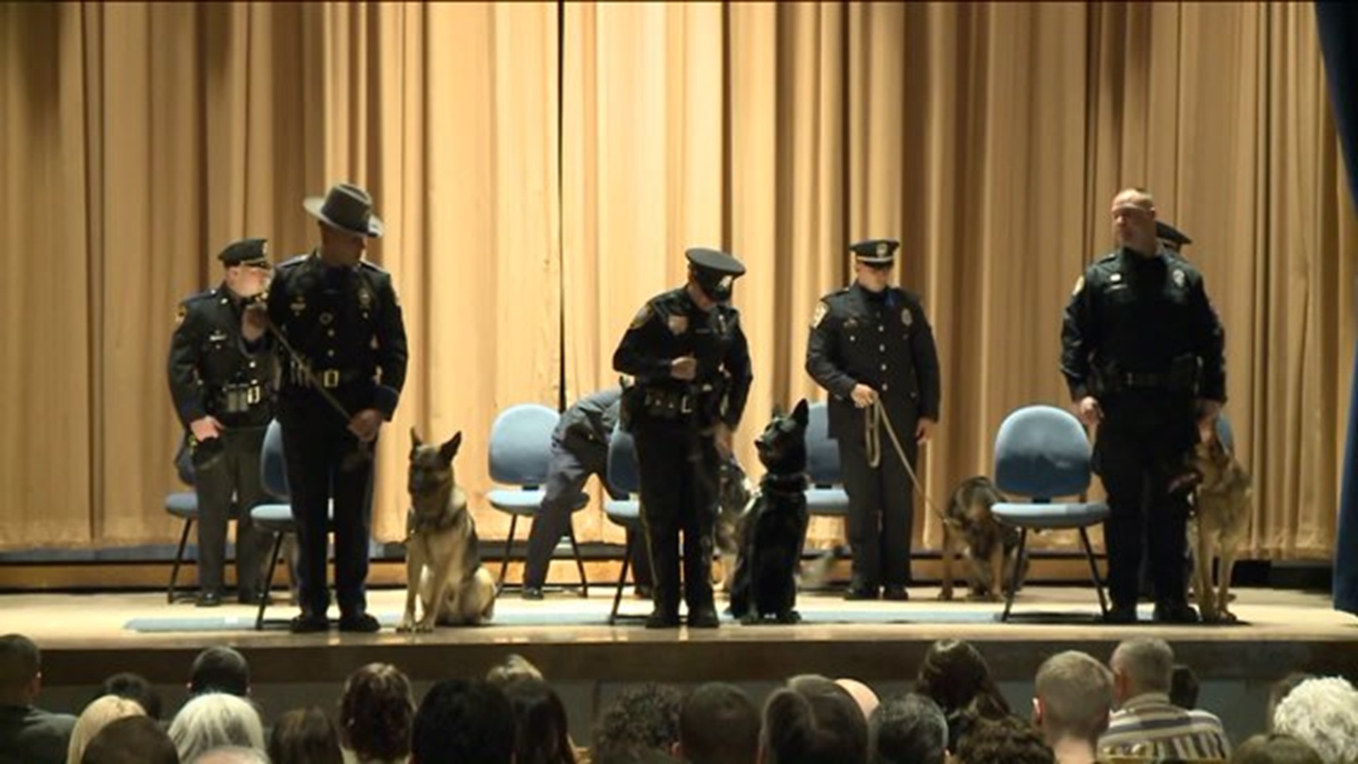 Police K9s graduate from training program