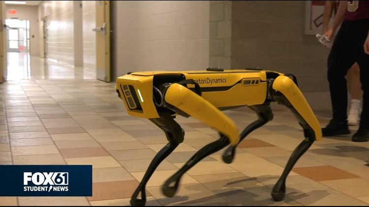 Robotic dog, a glimpse of the future | FOX61 Student News