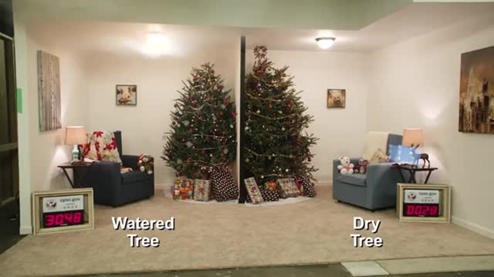 Dry Christmas Tree vs Well Watered Christmas Tree 2018.mp4