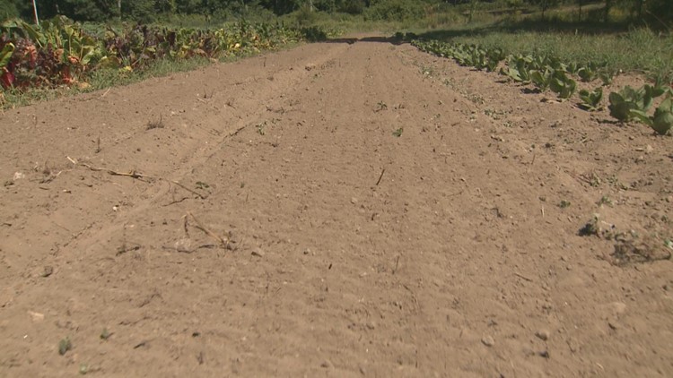Severe drought impacts eastern Connecticut farms