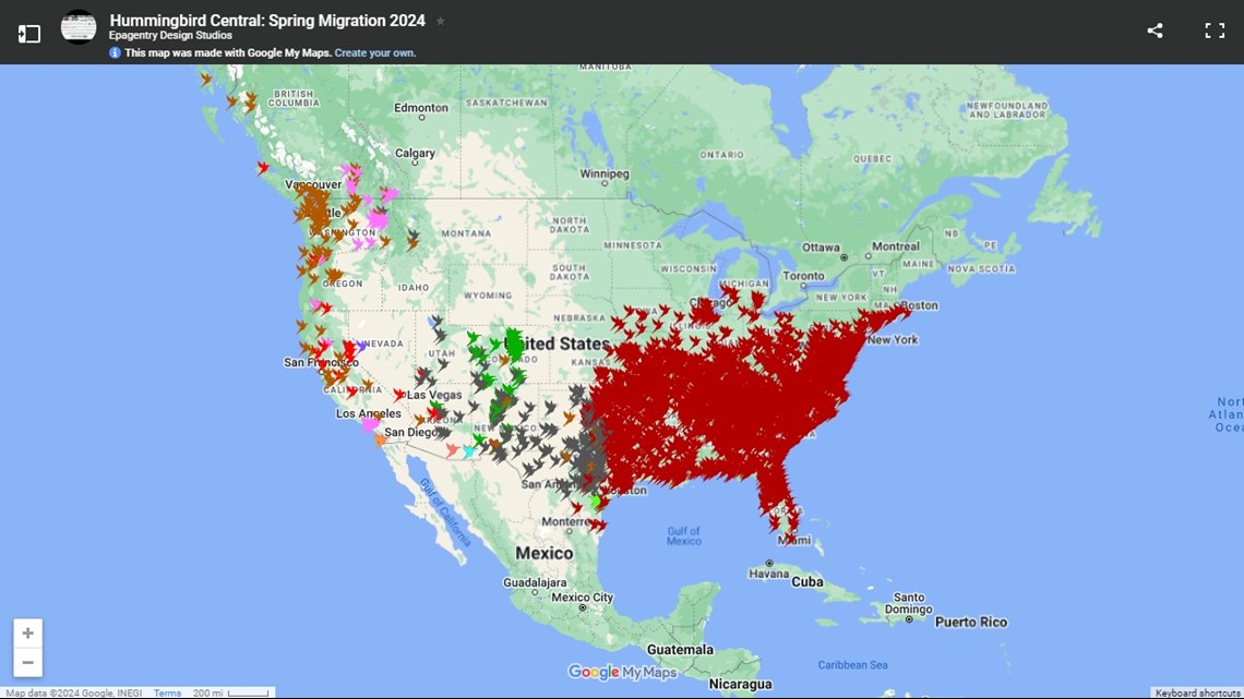 Track Hummingbirds as they migrate north this spring | fox61.com