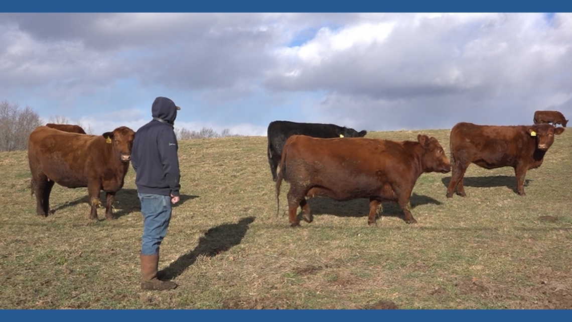 Tax relief coming soon for some Connecticut farmers