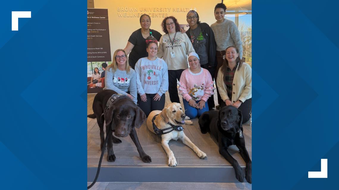 Connecticut police K-9s offer comfort and support after Brown University shooting