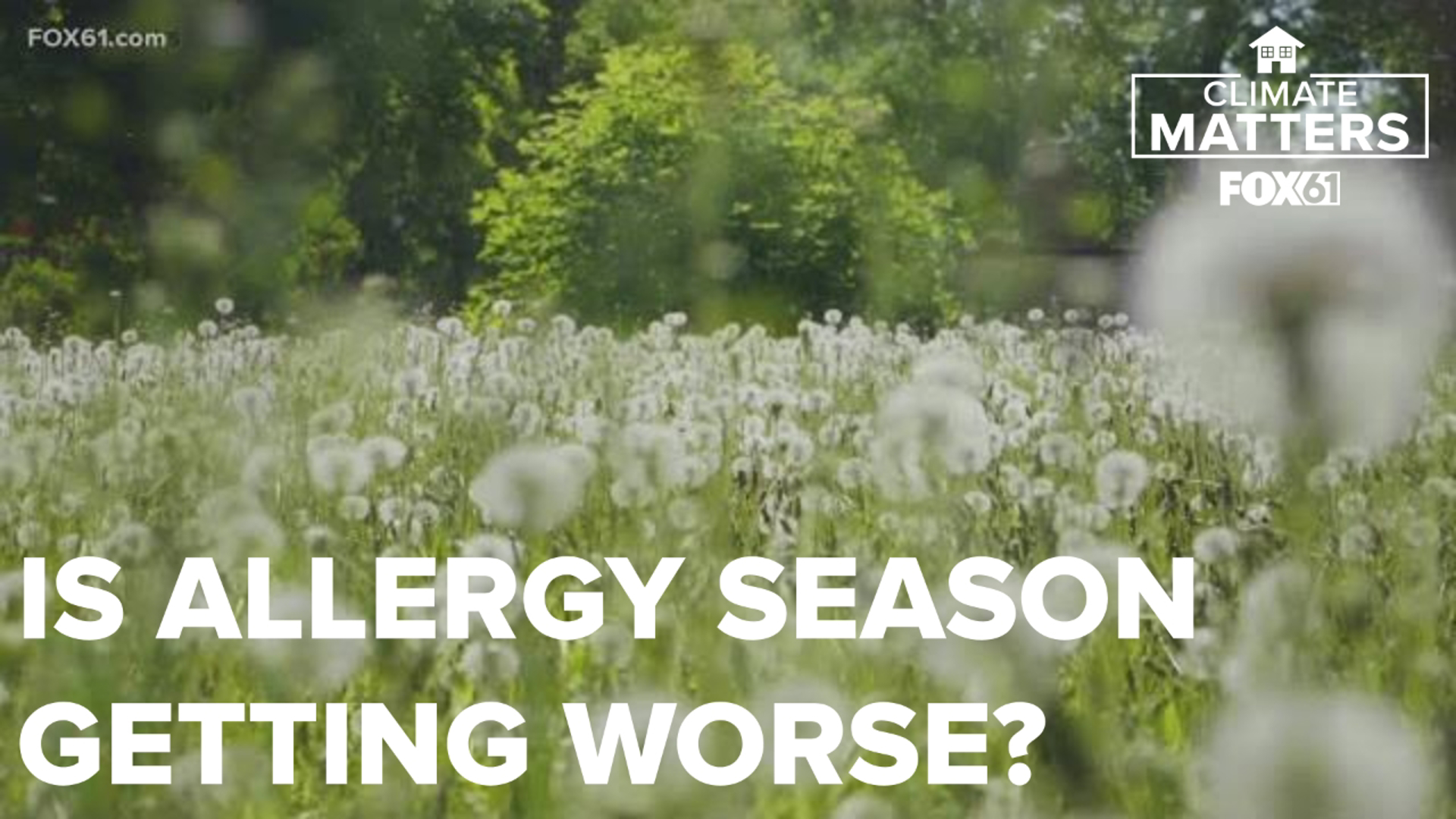 The growing season for pollen plants has increased in Connecticut