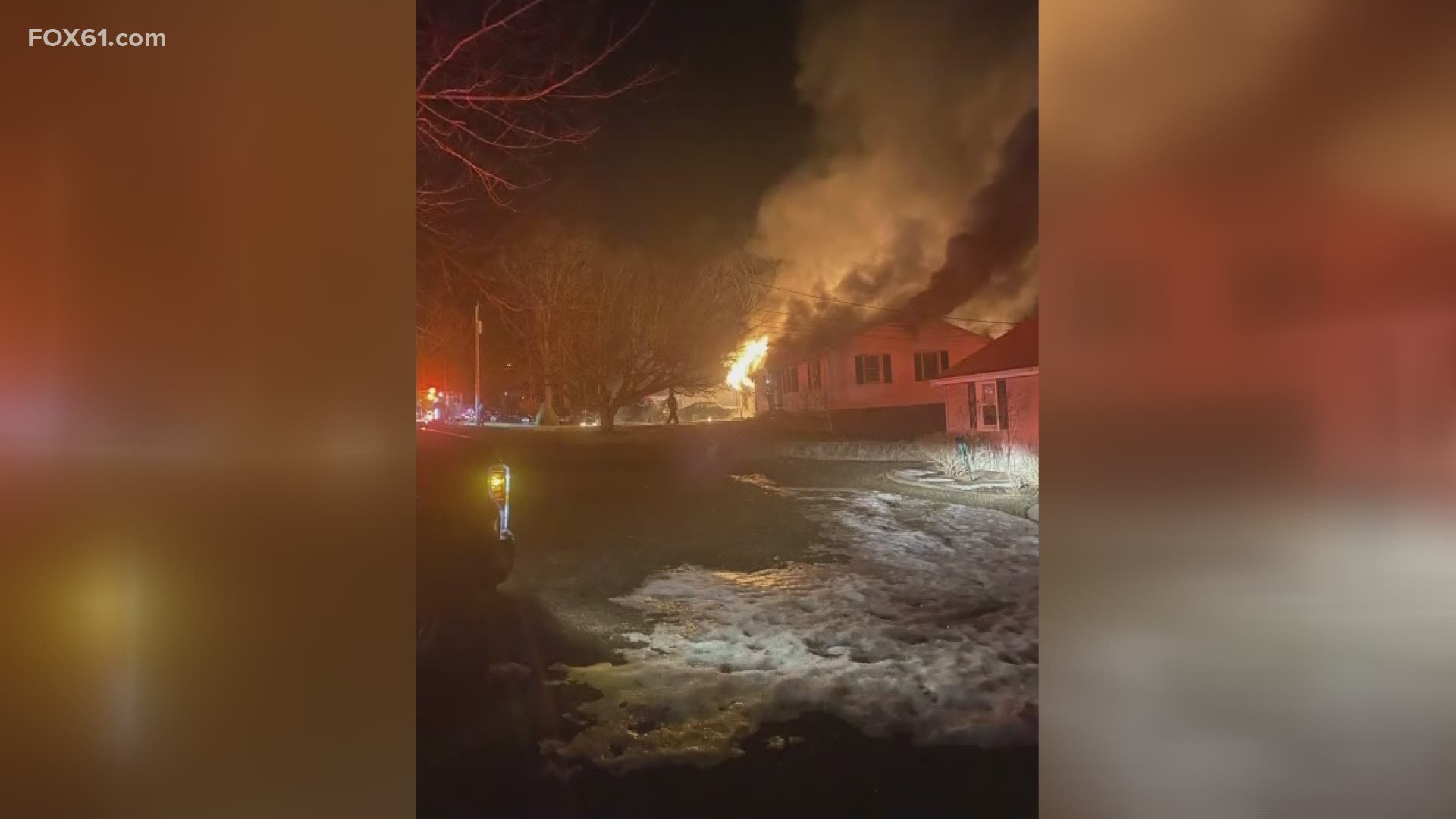 Two family pets were also killed in the fire