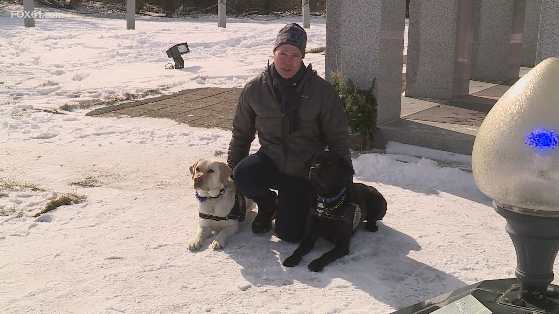 K9 Officer “Bear” and K9 Officer “Heidi” both 2-year-old Labrador Retrievers, are heading to New York for the wake and funeral of Officer Wilbert Mora.