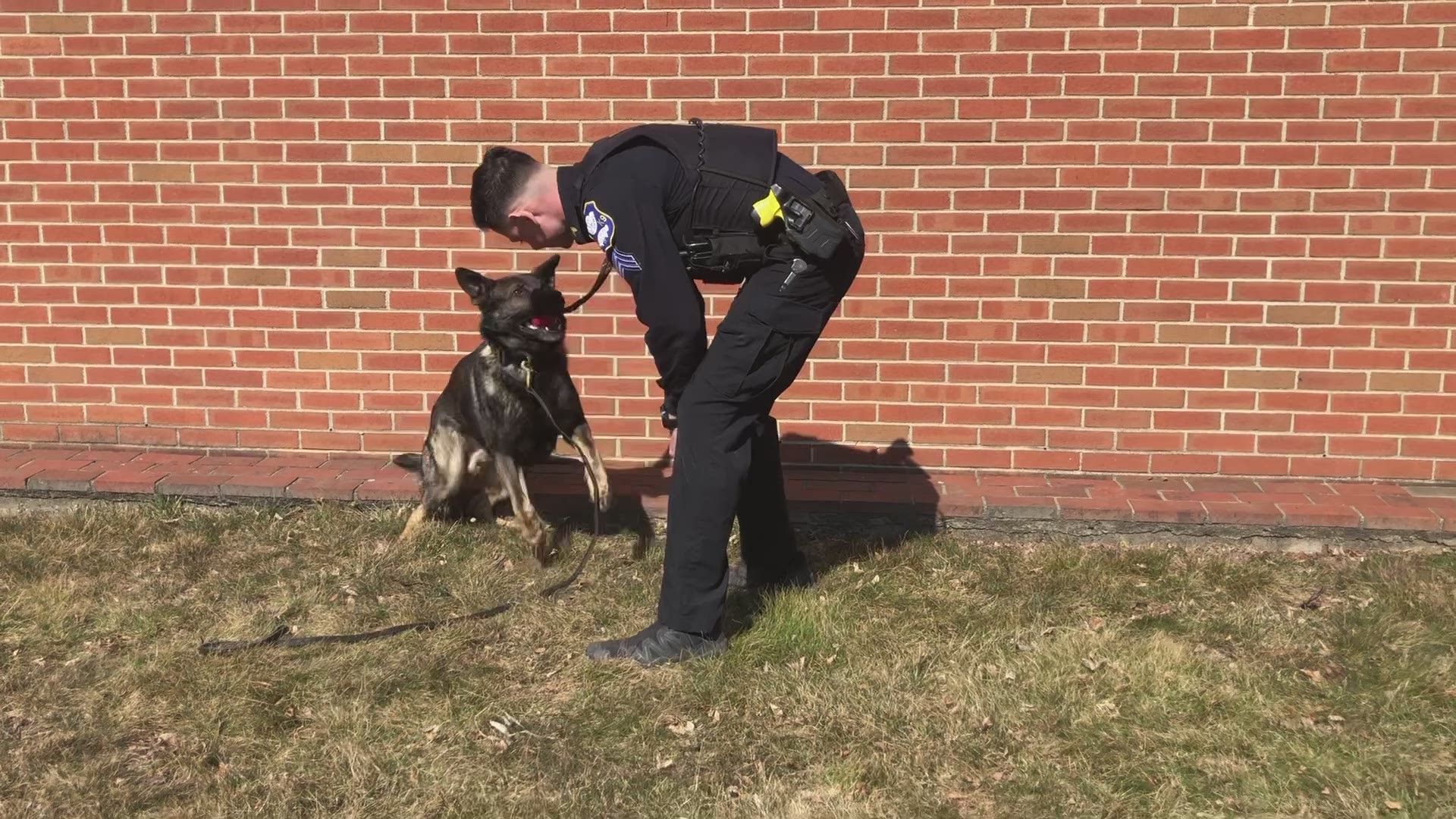 Community Karen visits with Sgt. Krchnavy of the Waterbury Police Department and his amazing K9 Baine