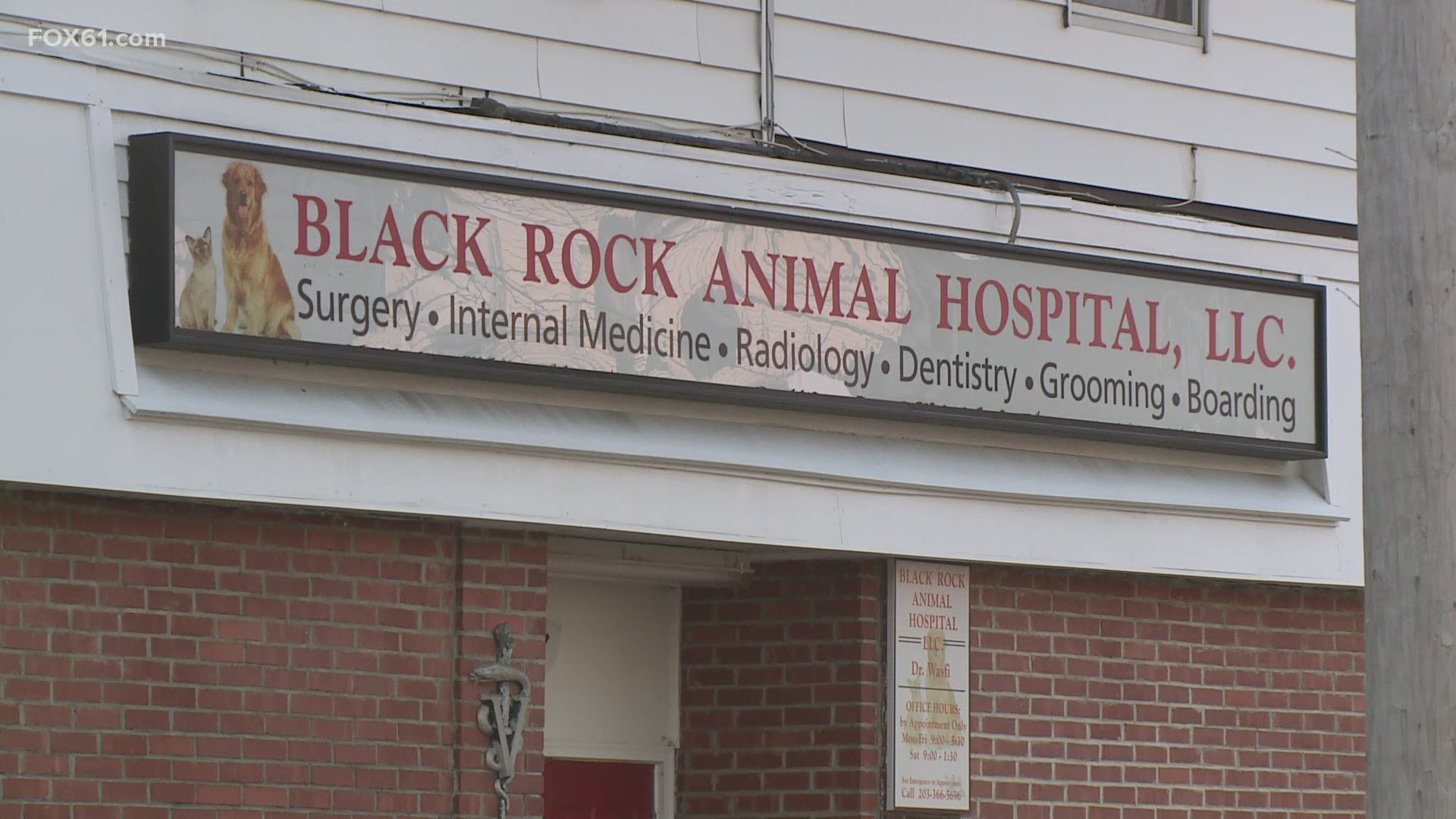 An investigation determined the dog died of overheating due to the Dr. Amr Wasfi, the owner of Black Rock, leaving the dog on a heating pad for an extended period.