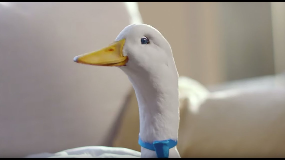 The Aflac duck is 20 years old. Here’s how he’s changed the insurance