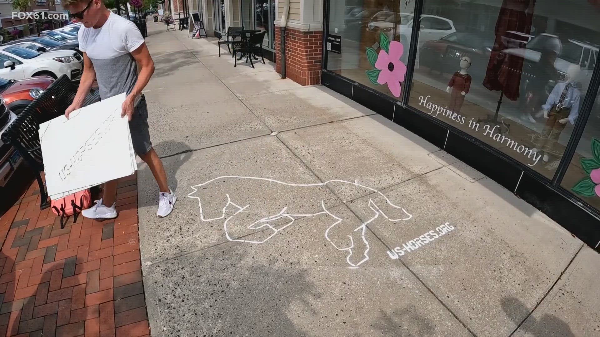 The chalk outlines of wild horses are popping up across parts of the Farmington Valley, most recently at the Shops at Farmington Valley.
