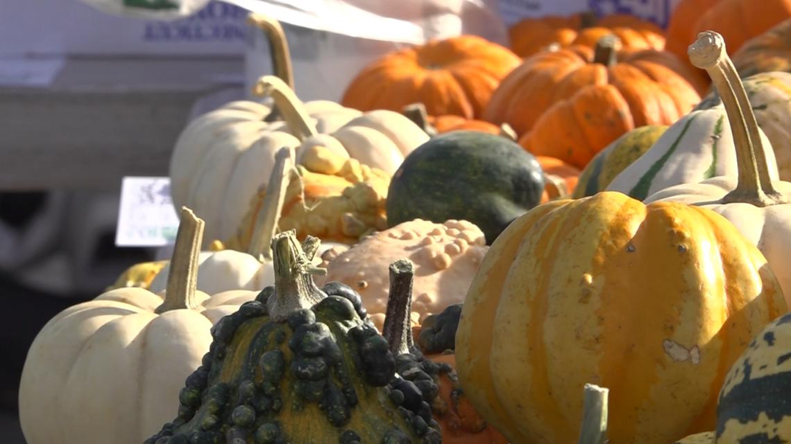 Bristol Farmers Market ends season with a fall festival