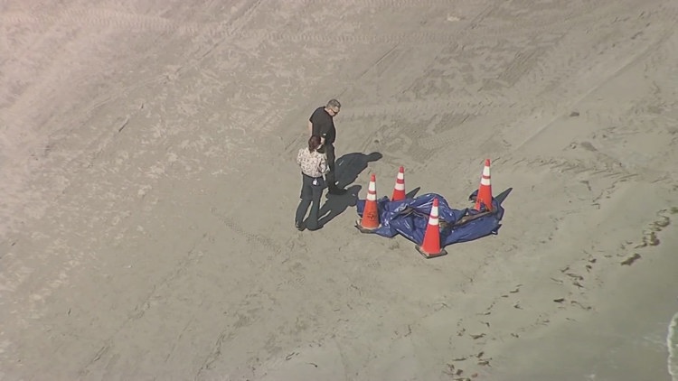 Human head found on Florida beach belonged to missing 19-year-old swimmer