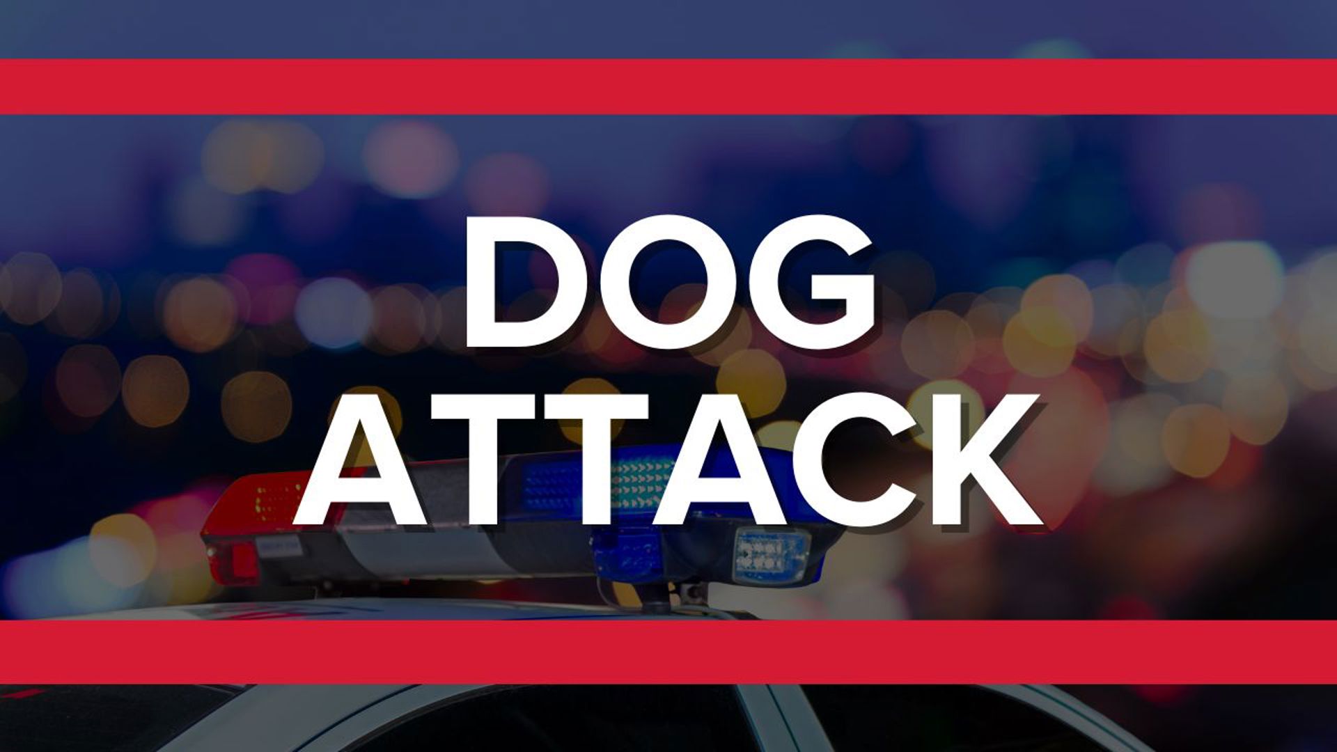 22-month-old airlifted to hospital after being attacked by a dog ...