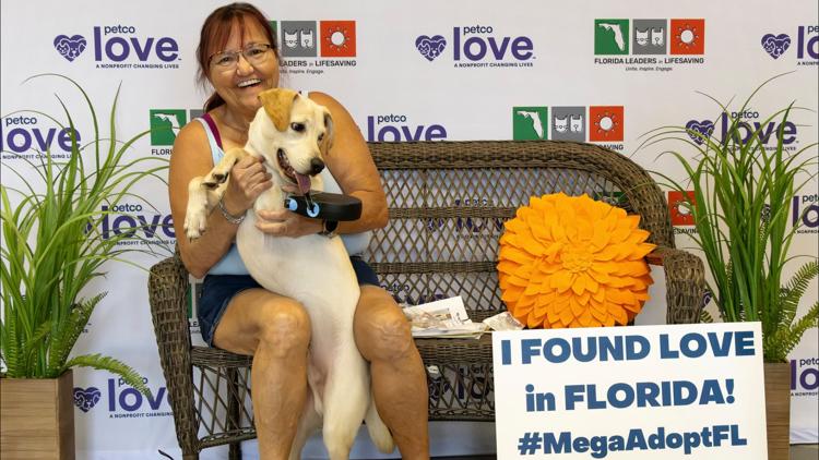Florida MEGA pet adoption event | Hundreds of dog and cat adoption fees waived this weekend