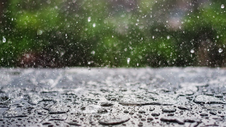 Making sense of rain chance percentages | WEATHER LAB