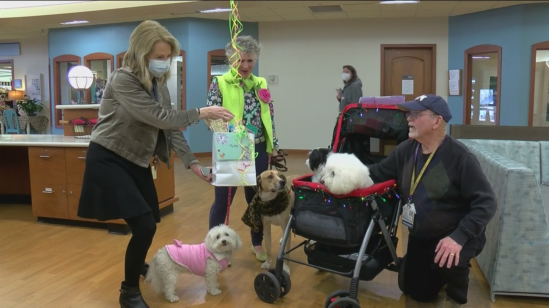 Therapy dog brings smiles to patients for 17 years | 10tv.com