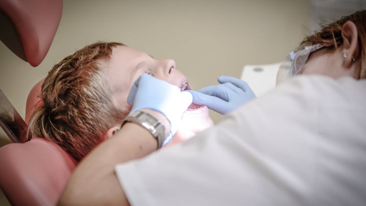 Knox Co. Health Dept. to host free dental services program for children and young adults Knox Co. Health Dept. to host free dental services program for children and young adults