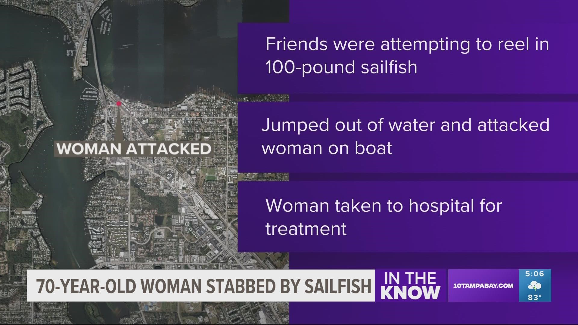 The sailfish stabbed the woman from Maryland in the groin area with its pointed bill on Tuesday while she was standing on a boat.