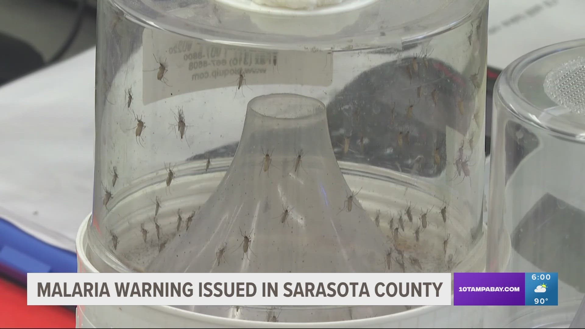 A health alert has been issued for Sarasota and Manatee counties due to two confirmed cases of malaria.