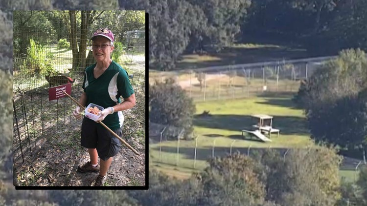 Tiger nearly tears off arm of volunteer at Big Cat Rescue, organization says