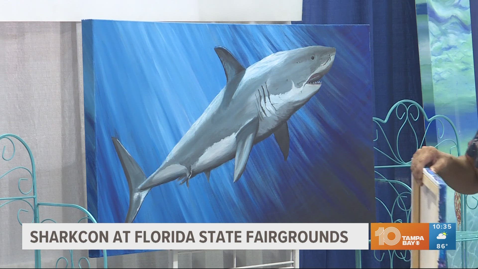 Shark enthusiasts can get their shark fill at the Florida State Fairgrounds Expo Hall.