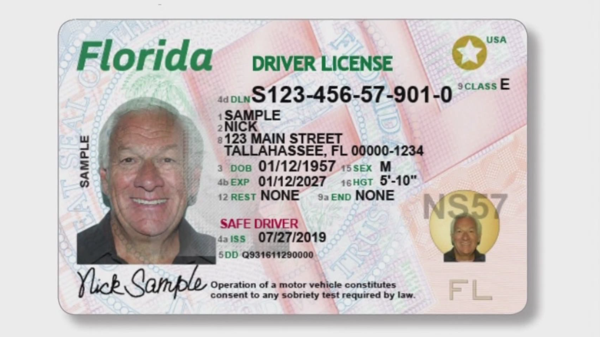 check on status of drivers license fl