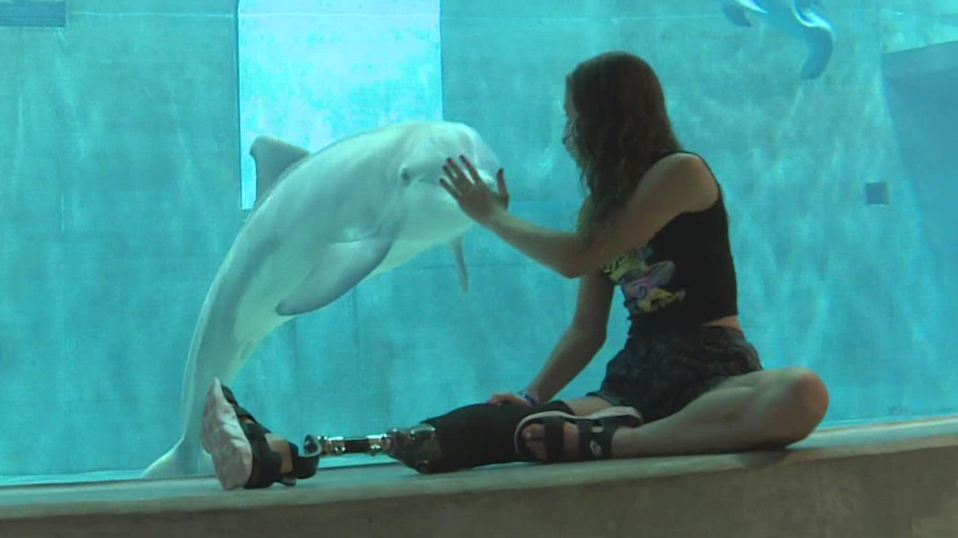 Ayden, a 13-year-old from Indiana, was given a gift to visit Clearwater Marine Aquarium to meet Winter the dolphin!