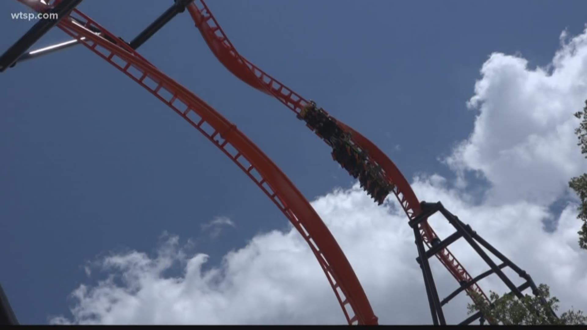 Busch Gardens Offers Bogo Deal For Year Round Park Admissions