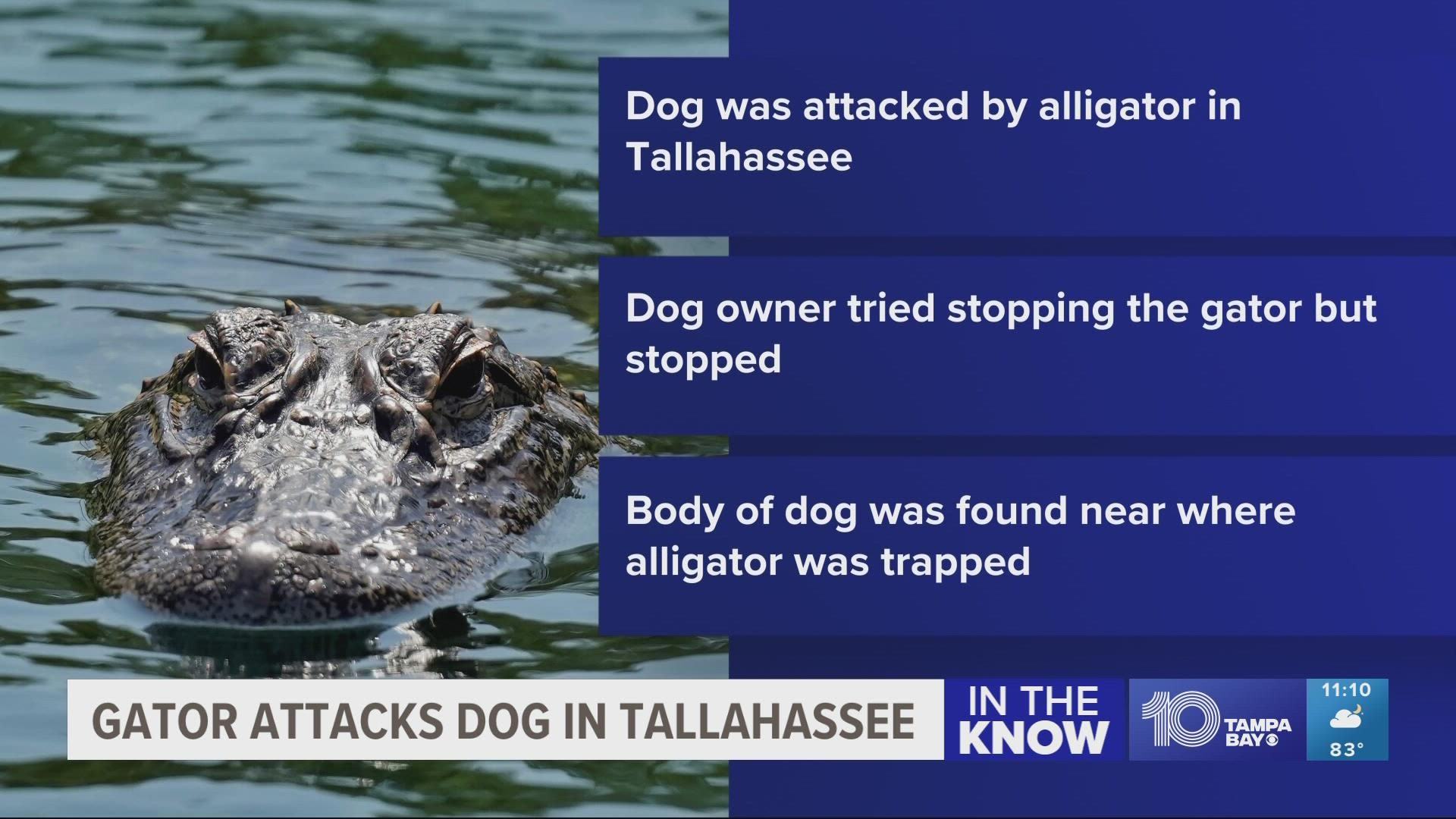 The pet owner says he was playing with his unleashed dog near water at a popular park.