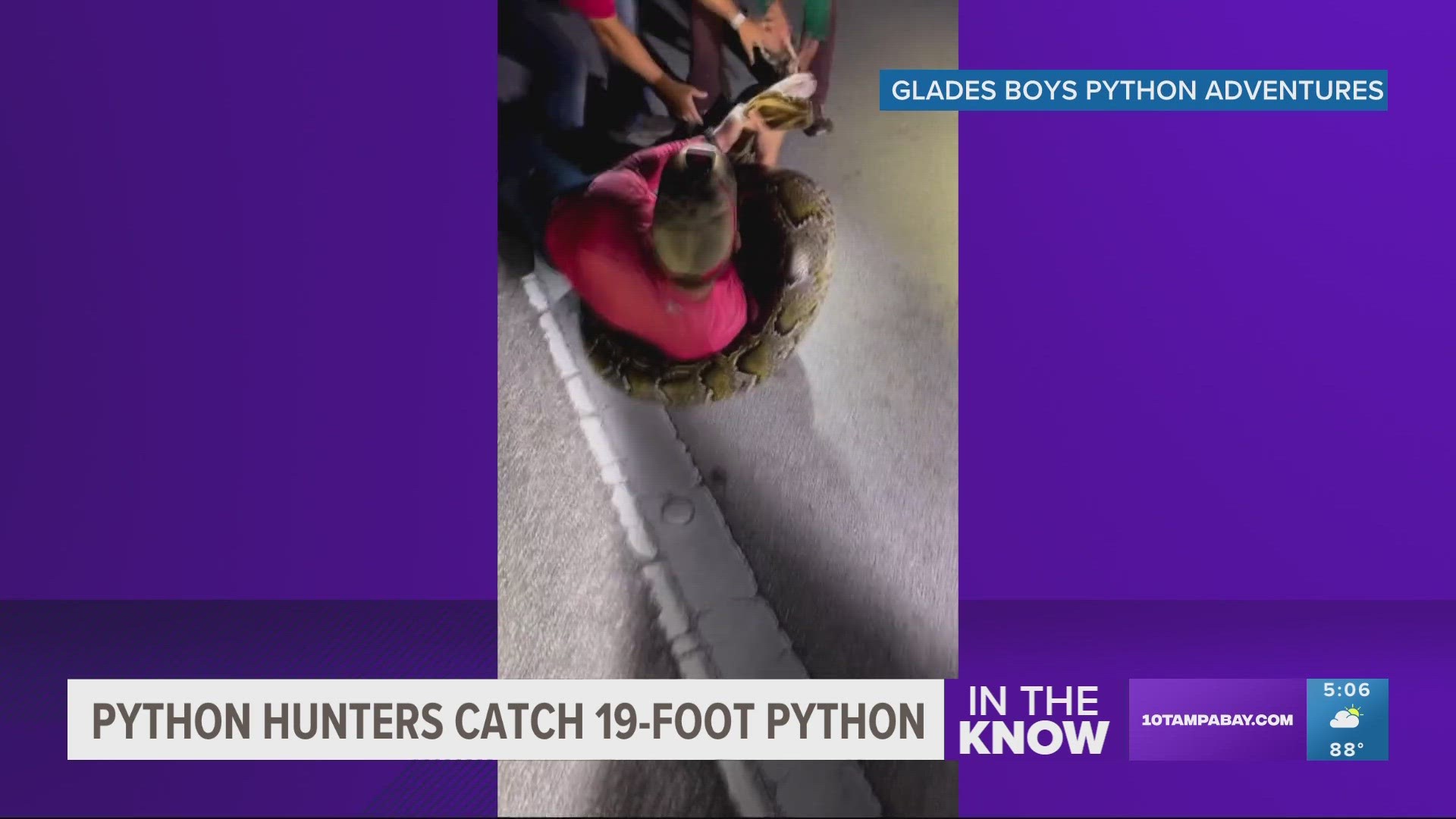 Longest-ever captured python recorded in Southwest Florida ...