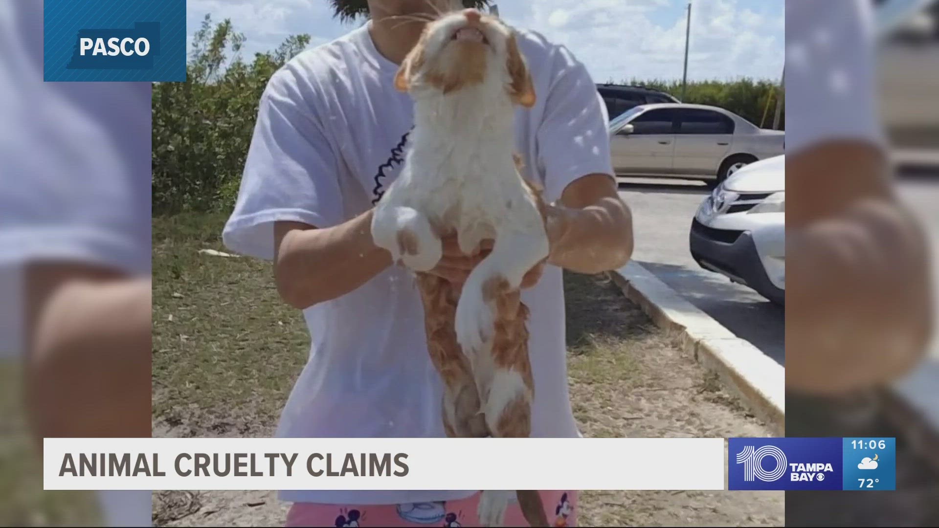 Florida woman claims animal cruelty after man threw cat in water ...
