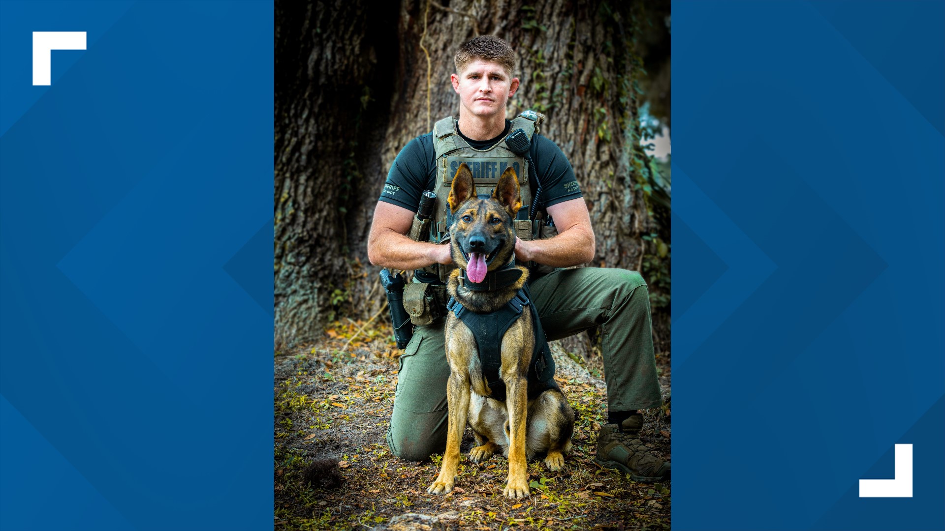 Marion County Deputy K-9 Leo shot in the line of duty | wnep.com