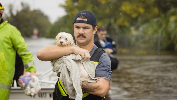 'Pets are family': Pets rescued with their owners after severe flooding from Hurricane Ian