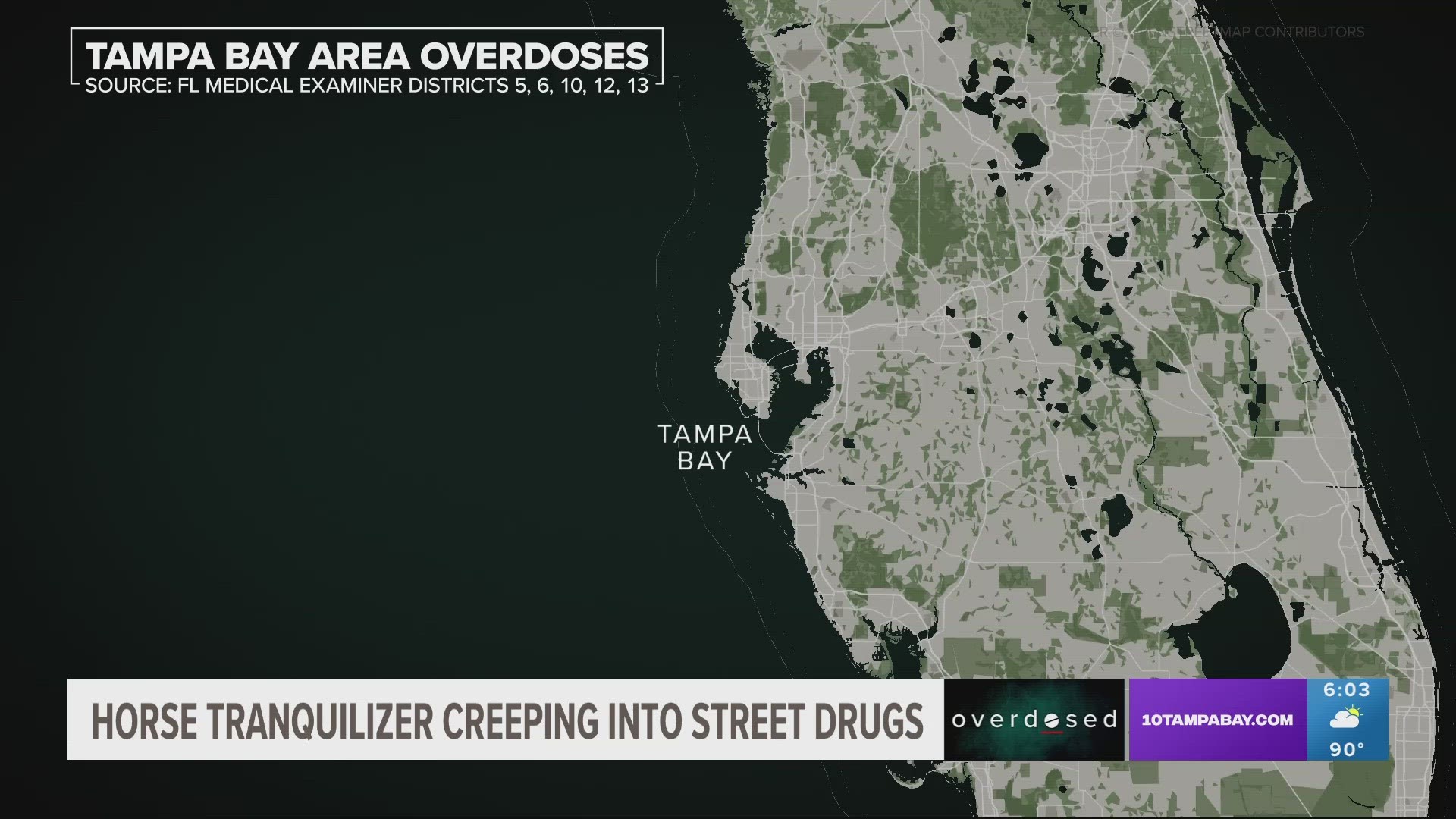 People have been overdosing on a combination of fentanyl and xylazine in the Tampa Bay area for years.