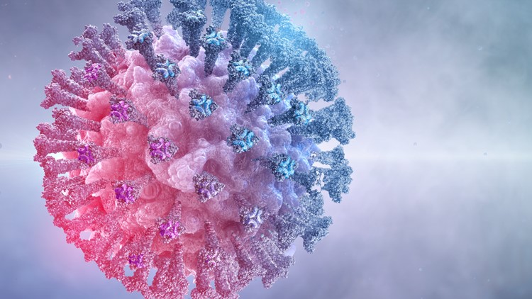 2 cases of Omicron variant identified in Shelby County