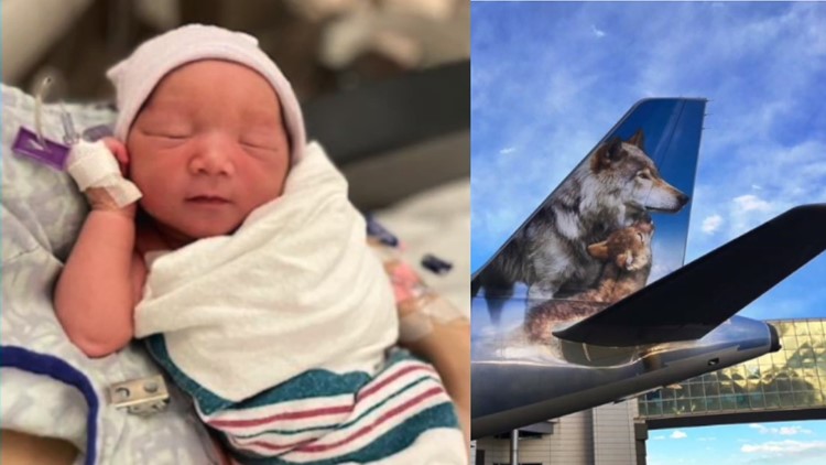 Flight attendant remains 'calm', helps deliver baby mid-flight on way to Orlando