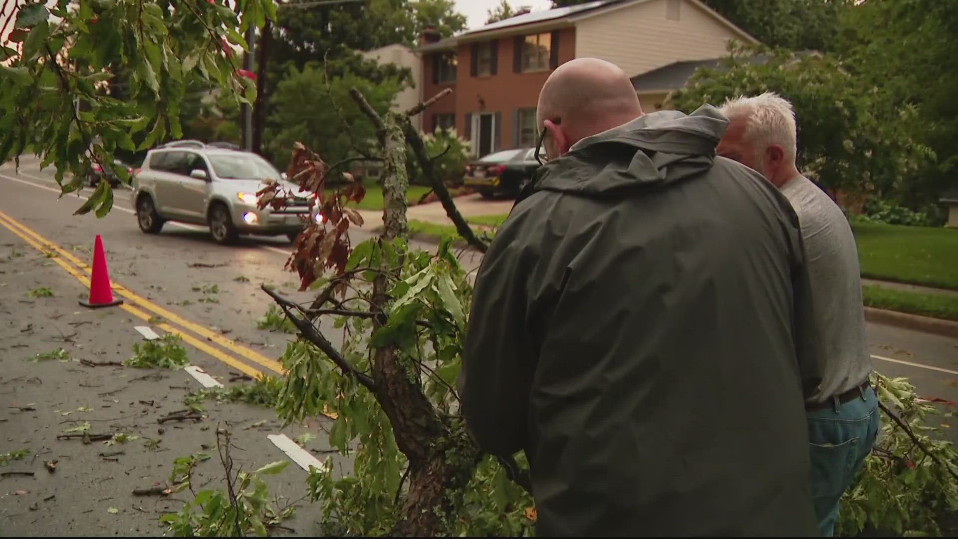 Neighbors worked together to help cut up branches and clean up debris after a tree that fell across Sideburn Road in Kings Park West.